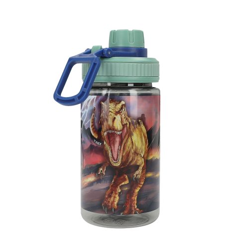 Gourde DINO WORLD 500ml rentrée des classes magasin pour enfant à st pire 97410 livraison 974 REUNION