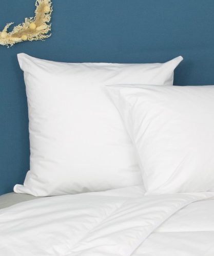 Oreiller 60x60 COTON BIO