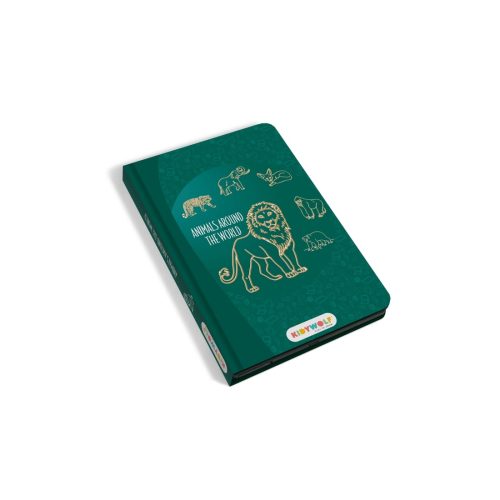 KIDYDRAW mini tablette à dessin et écriture enfant kidywolf magasin de jouets à st pierre 97410 livraison la réunion 974