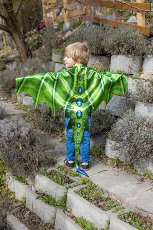 Ailes souples DRAGON LÉGENDAIRE déguisement pour enfant fille et garçon de qualité et originale boutique pour enfant saint pierre ile de la reunion 974 revendeur great pretenders