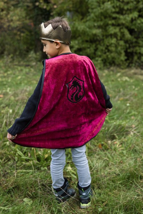 Cape avec armure et couronne CHEVALIER LÉGENDAIRE déguisement pour enfant fille et garçon de qualité et originale boutique pour enfant saint pierre ile de la reunion 974 revendeur great pretenders
