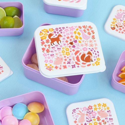 Lot de 4 boîtes à goûter pour enfant magasin saint pierre st denis reunion 974 livraison rentrée des classes