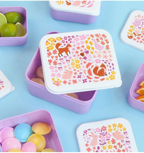 Lot de 4 boîtes à goûter pour enfant magasin saint pierre st denis reunion 974 livraison rentrée des classes