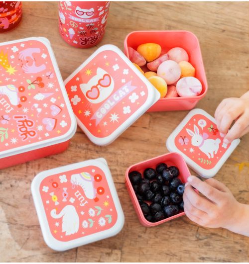 Lot de 4 boîtes à goûter pour enfant magasin saint pierre st denis reunion 974 livraison rentrée des classes