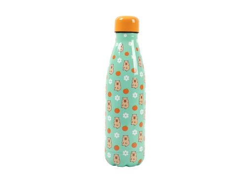 Bouteille isotherme i-total i-drink capybara Gourde isotherme en acier inoxydable école rentrée des classes école boutique enfant saint pierre reunion 974
