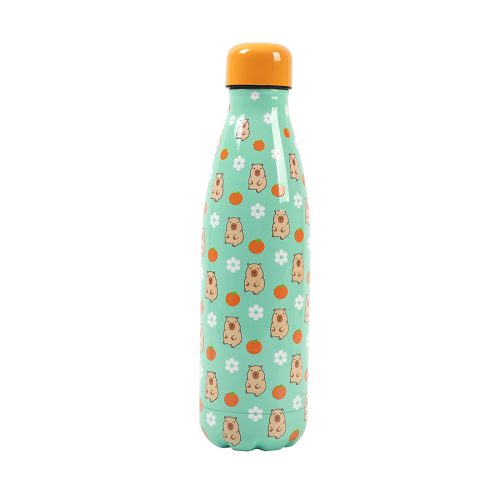 Bouteille isotherme i-total i-drink capybara Gourde isotherme en acier inoxydable école rentrée des classes école boutique enfant saint pierre reunion 974