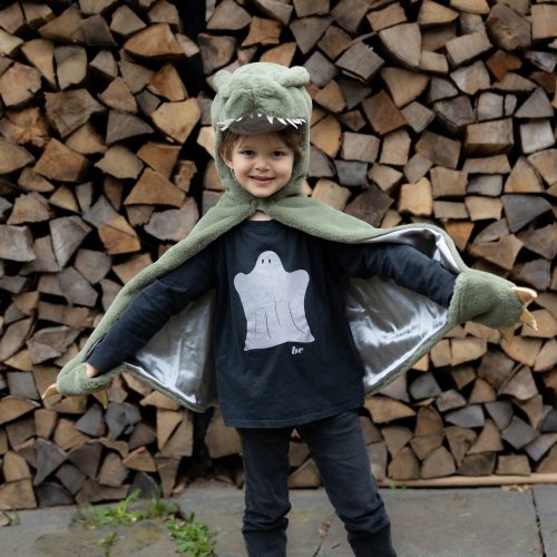 Cape de dinosaure T-Rex Revendeur officiel GREAT PRETENDERS déguisement pour enfant de qualité boutique de jouets ile de la reunion livraison 974