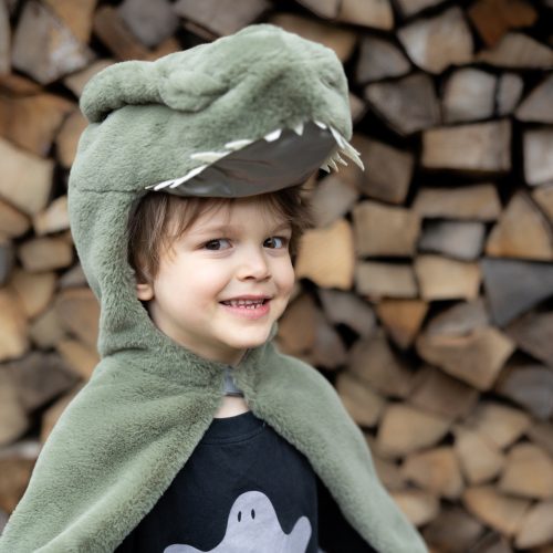 Cape de dinosaure T-Rex Revendeur officiel GREAT PRETENDERS déguisement pour enfant de qualité boutique de jouets ile de la reunion livraison 974