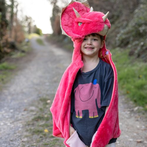 Cape de dinosaure triceratops Revendeur officiel GREAT PRETENDERS déguisement pour enfant de qualité boutique de jouets ile de la reunion livraison 974