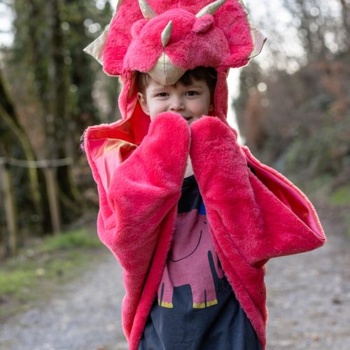 Cape de dinosaure Triceratops Revendeur officiel GREAT PRETENDERS déguisement pour enfant de qualité boutique de jouets ile de la reunion livraison 974