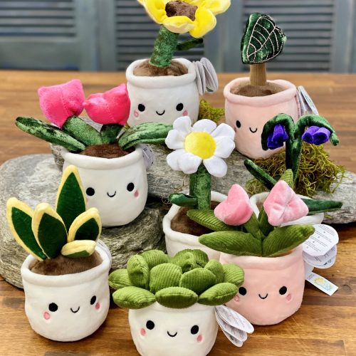 Peluche PLANTE (Plusieurs modèles disponibles) boutique famille et enfants ile de la reunion 974 idée cadeau