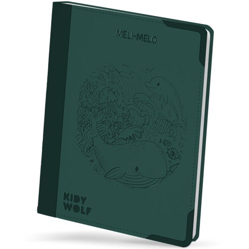 KIDYDRAW PAD tablette à dessin et écriture enfant kidywolf 10 ans et + magasin de jouets à st pierre 97410 livraison la réunion 974 magasin à ste marie duparc 97438 livraison FRANCE METROPOLITAINE