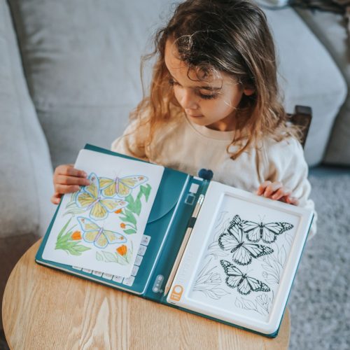 KIDYDRAW PAD tablette à dessin et écriture enfant kidywolf 10 ans et + magasin de jouets à st pierre 97410 livraison la réunion 974 magasin à ste marie duparc 97438 livraison FRANCE METROPOLITAINE