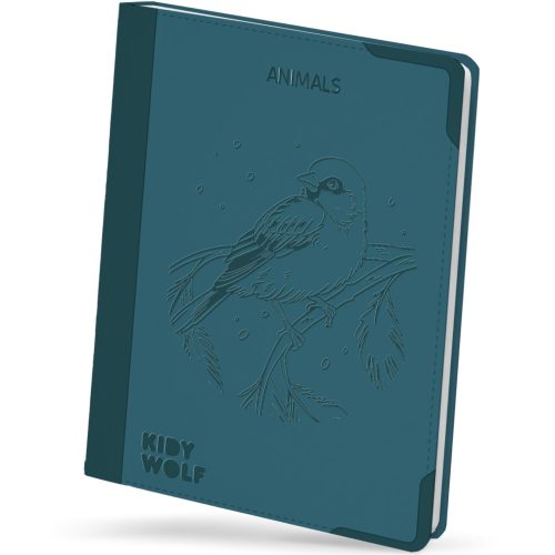 KIDYDRAW PAD tablette à dessin et écriture enfant kidywolf 8 ans et + magasin de jouets à st pierre 97410 livraison la réunion 974 magasin à ste marie duparc 97438 livraison FRANCE METROPOLITAINE