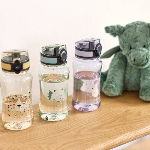 Gourde pour enfants boutique pour enfant saint pierre reunion 974 marque LASSIG, de qualité idéal pour la rentrée des classes et l'école 974 LICORNE DRAGON LEOPARD
