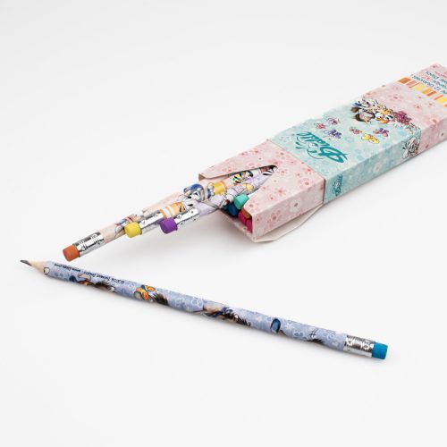 Boite de 6 crayons à papier avec gomme Diddl boutique jouet papeterie souvenir DIDDL 974 ile de la reunion