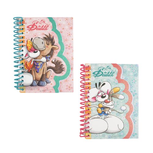 Carnet spirale élastique et paillettes Diddl boutique jouet papeterie souvenir DIDDL 974 ile de la reunion