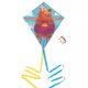 cerf-volant OURS APPLEPOP pour enfant revendeur officiel JANOD magasin de jouets en bois à st pierre 97410 livraison la réunion 974