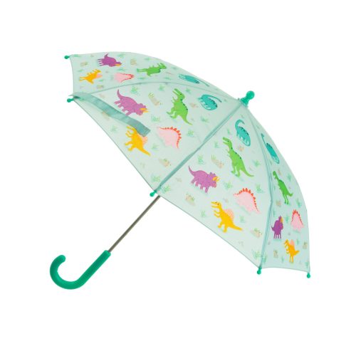 Parapluie pour enfant DINOSAURE magasin saint pierre ile de la réunion