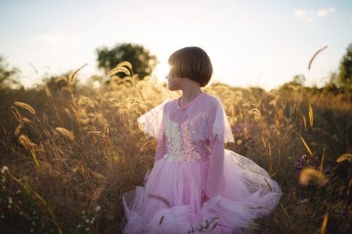 Robe Princesse rose à paillettes déguisement enfant magasin de jouet enfant déguisement enfant saint pierre ile de le Reunion 974 97410