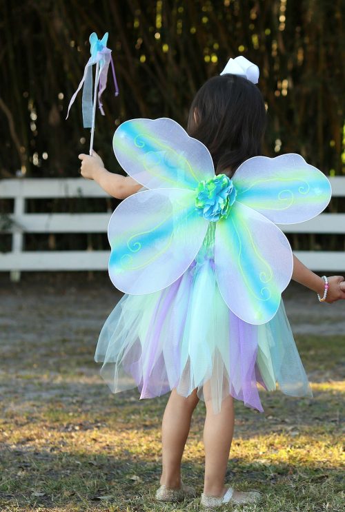 Robe papillon avec ailes et baguette magique déguisement enfant magasin de jouet enfant déguisement enfant saint pierre ile de le Reunion 974 97410