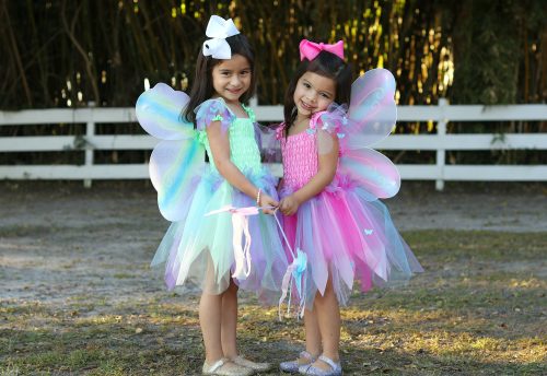 Robe papillon avec ailes et baguette magique déguisement enfant magasin de jouet enfant déguisement enfant saint pierre ile de le Reunion 974 97410