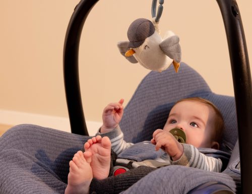 Peluche vibrante MOUETTE Jouet d'éveil en tissu doux avec activités Little Dutch jouet d'éveil pour bébé boutique bébé saint pierre ILE DE LA REUNION 974