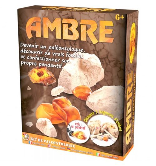 Kit de paléontologie paléo enfant ambre jeu sciences et découvertes magasin de jeu jouet à St Pierre 97410 La Réunion 974