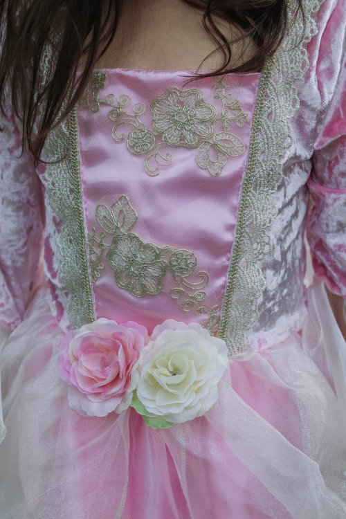 Robe de Princesse ROSE Déguisement enfant lavable en machine boutique pour enfant saint pierre ILE DE LA REUNION livraison sur tout l'ile 974