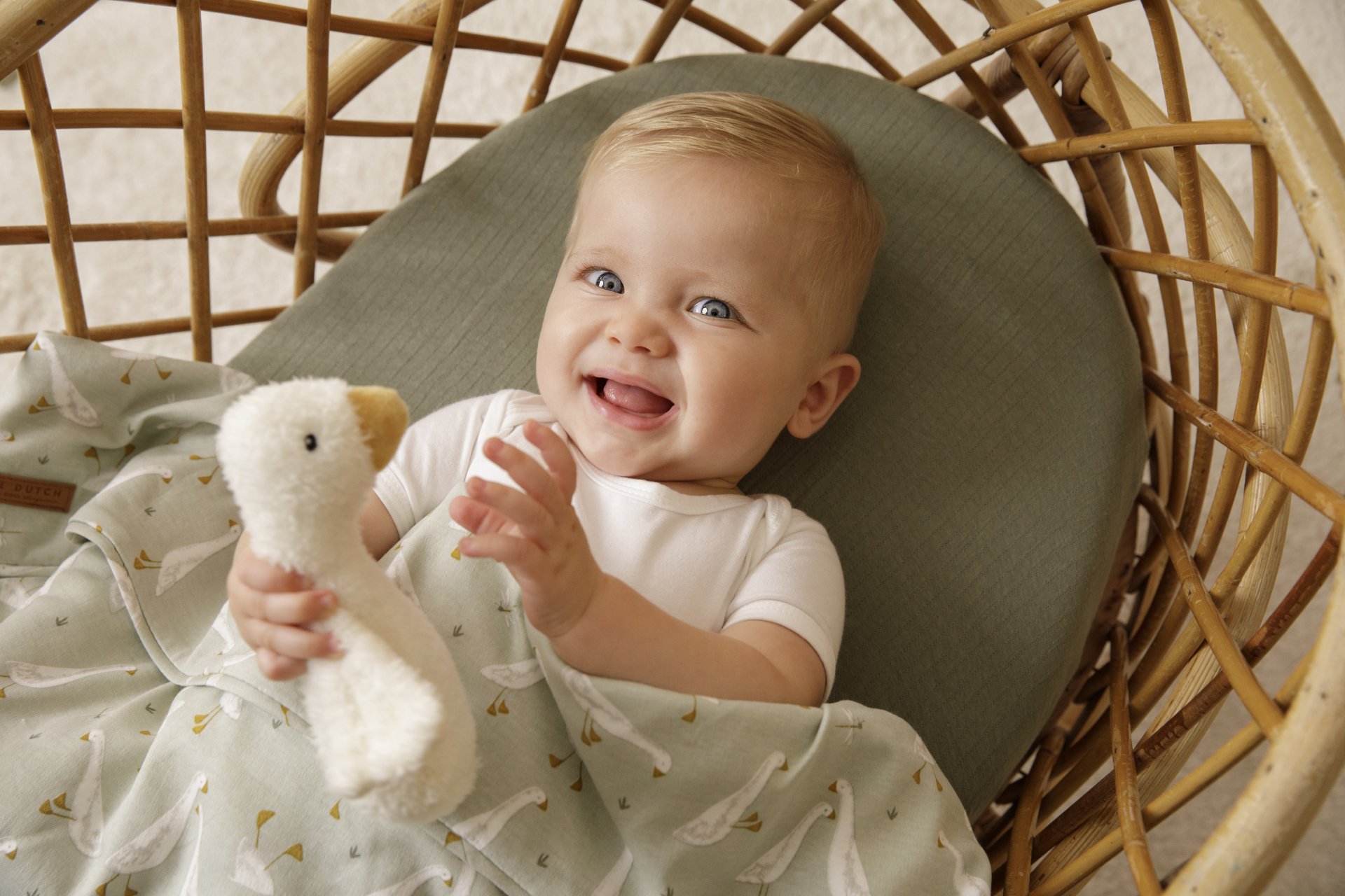 Lot De Vêtements Neufs Pour Bébé/garçon - Marque Bonprix, Tailles 24 Mois, Multicolore