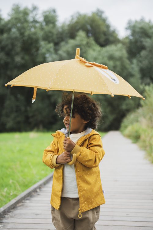 parapluie pour enfant revendeur officiel trixie livraison sur toute l'ile boutique pour enfant rentrée des classes 974 lion